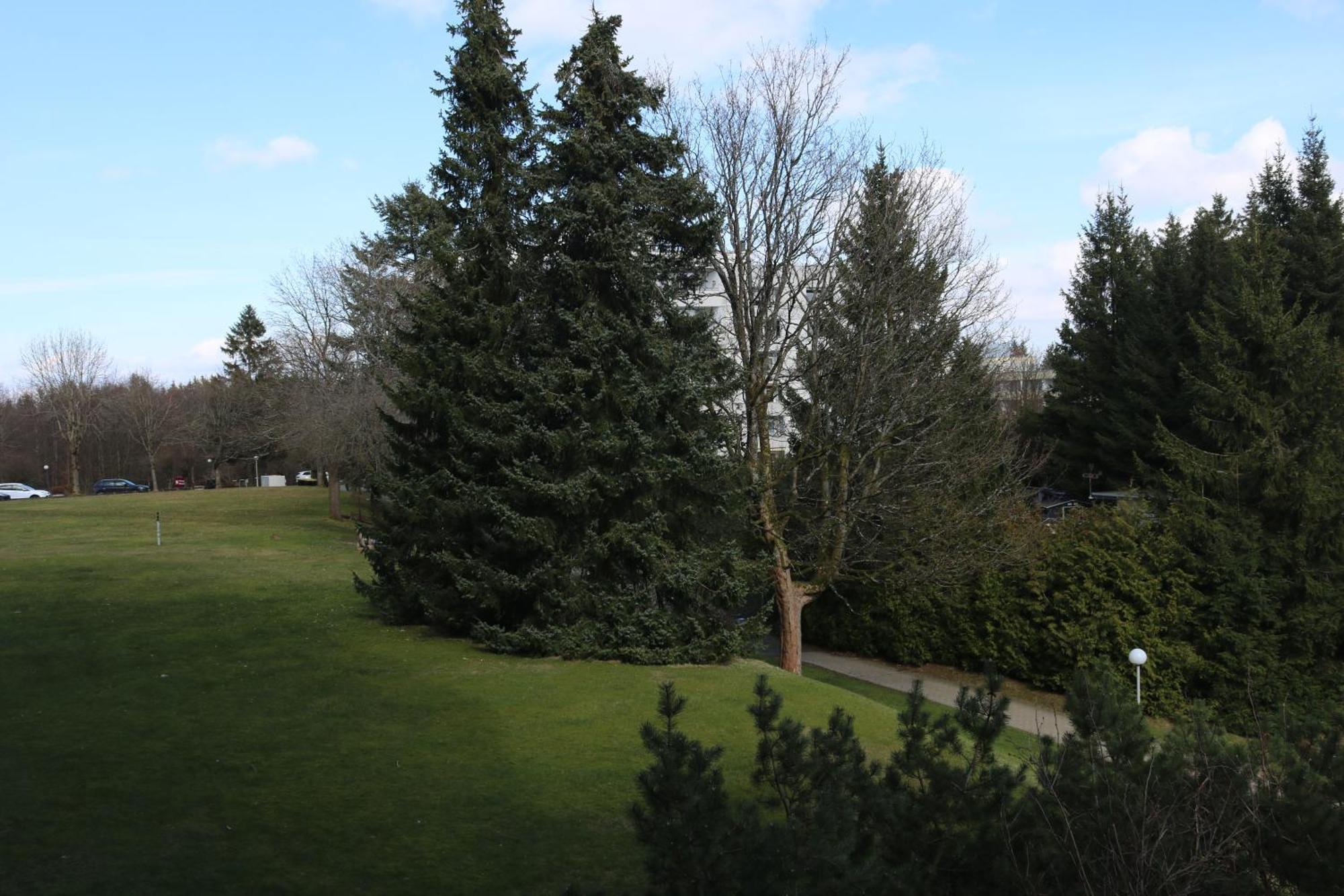 Natur Suite Goslar Ngoại thất bức ảnh